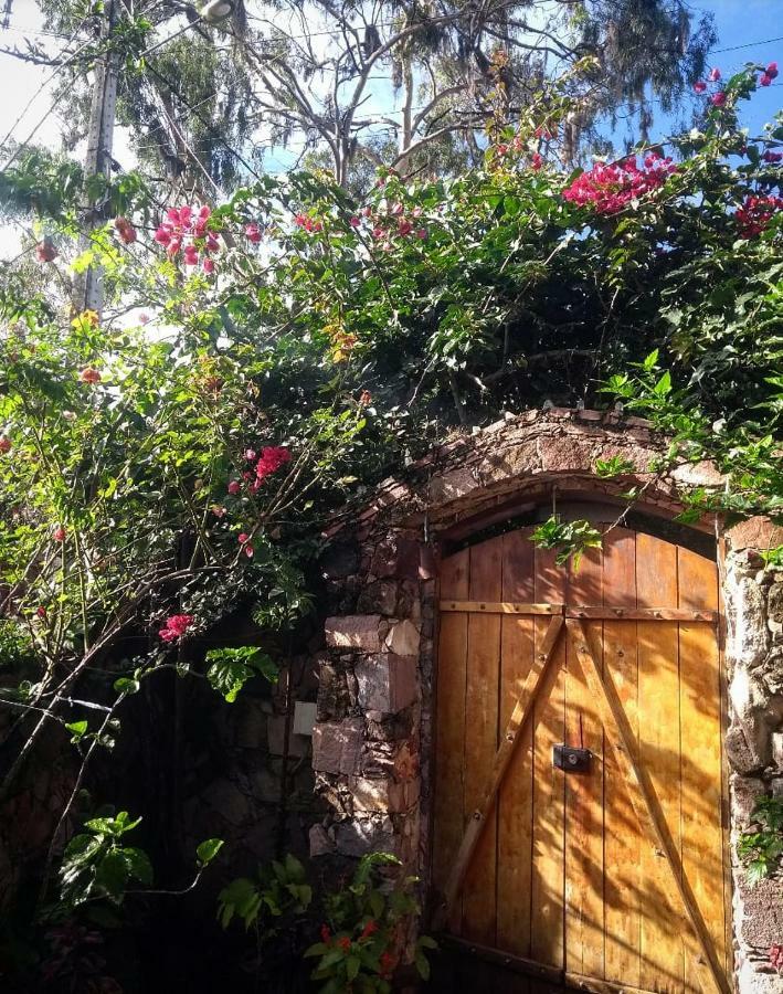 Jardim Das Orquideas Mucuge Ngoại thất bức ảnh